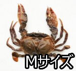 冷凍 脱皮カニ(ソフトシェルクラブ)M